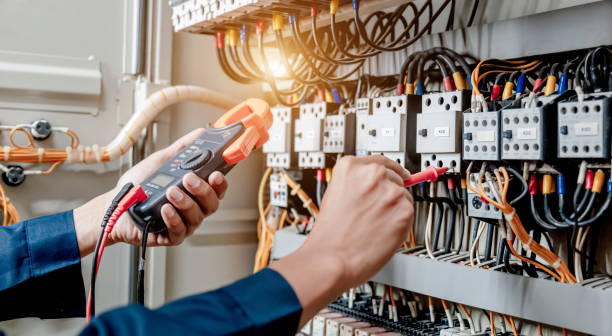 Best Electric Panel Repair  in Minonk, IL